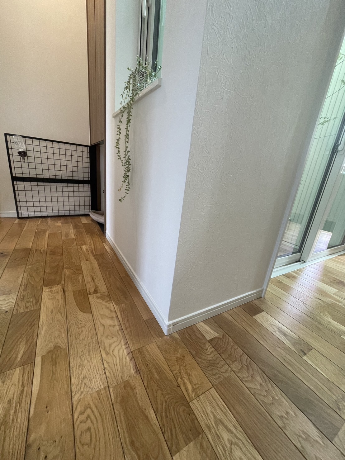 クロス貼り替え🏚️